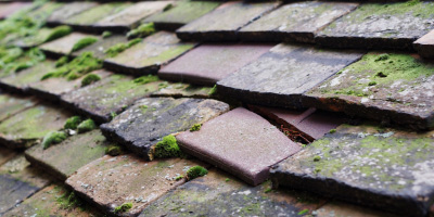 Bagley roof repair costs